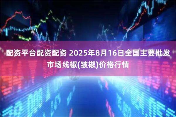 配资平台配资配资 2025年8月16日全国主要批发市场线椒(皱椒)价格行情